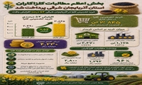 رشد ۵۴ درصدی خرید تضمینی کلزا در آذربایجان شرقی